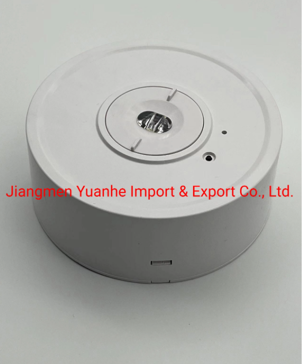 usine de type plafond d'&eacute;clairage de secours