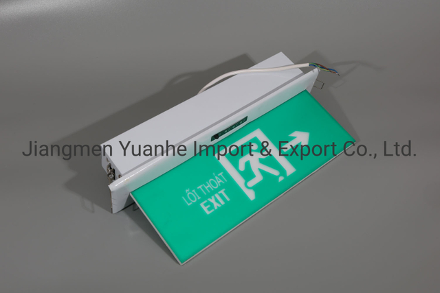 Éclairage de sortie de secours à DEL monté au plafond