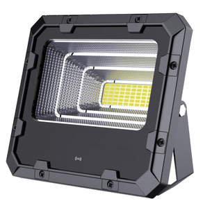 Lampe Solaire Extérieure / Lampe Solaire LED / Projecteur Solaire 100W