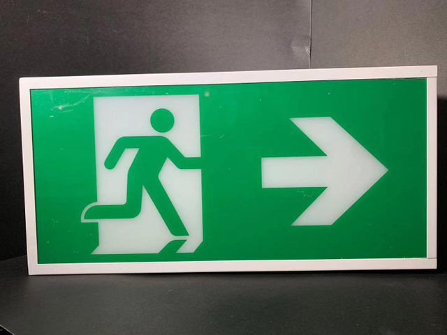 Lampe de sécurité de sortie de secours à batterie rechargeable à DEL entretenue