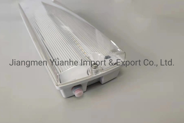 Lampe de camping à LED rechargeable étanche à l'eau