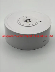 Plafonnier d'urgence rechargeable à DEL